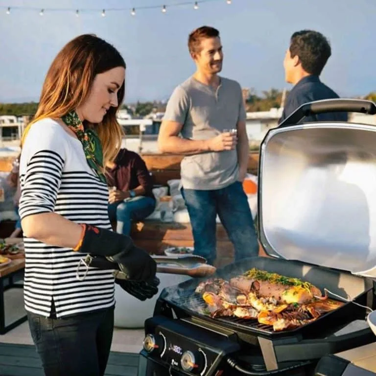Barbacoa Pulse2000 Weber - 3156 BARBACOA WEBER PULSE 1000 768x768 2