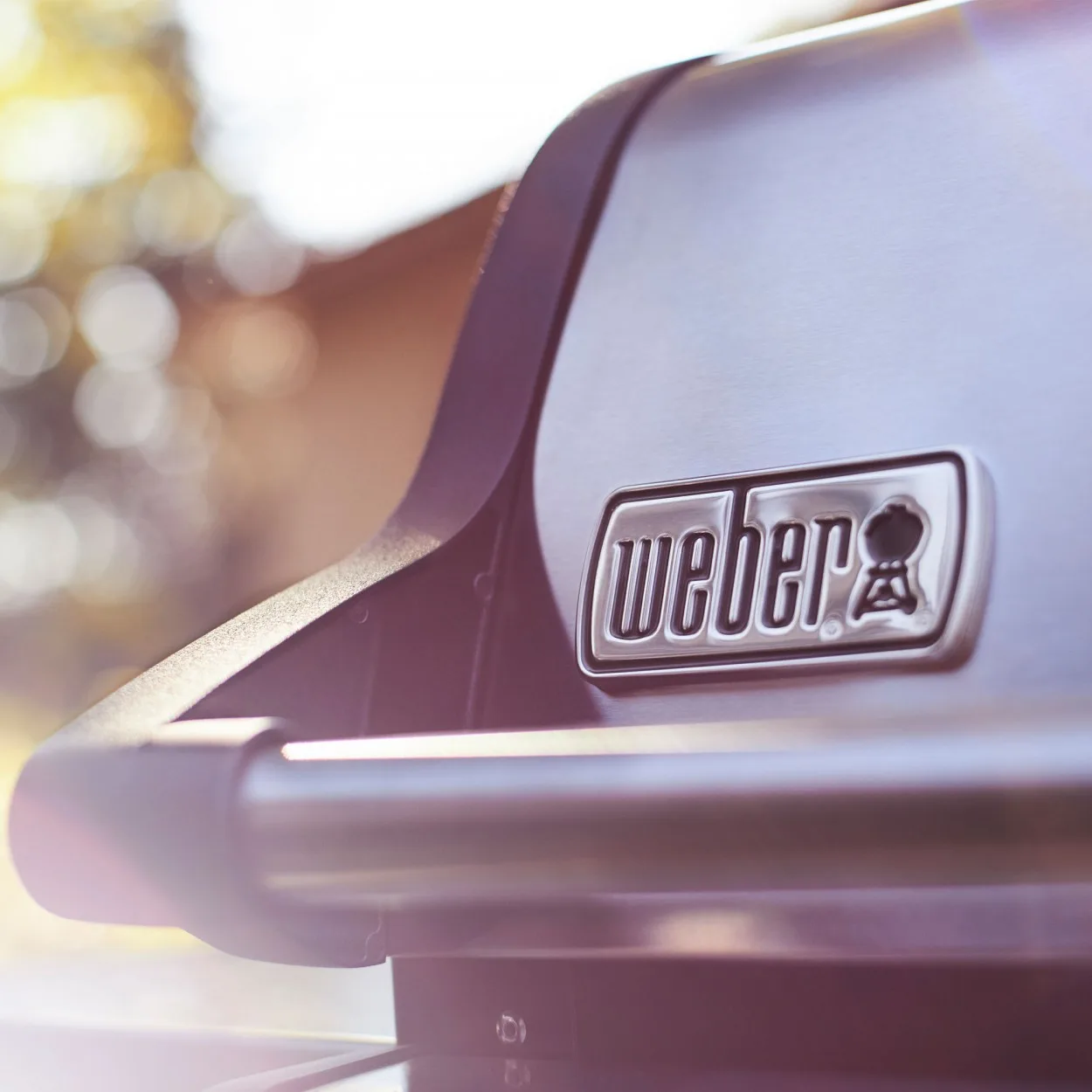 Barbacoa Spirit II E-220 GBS - weber spirit ep 335 gasgrill 4
