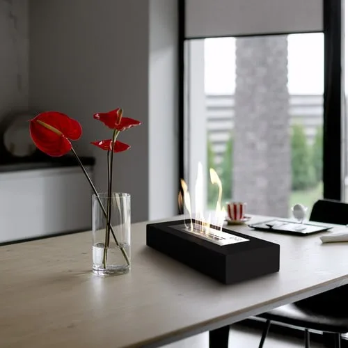Chimenea Bioetanol Portátil INDIA MINI TÜV negro