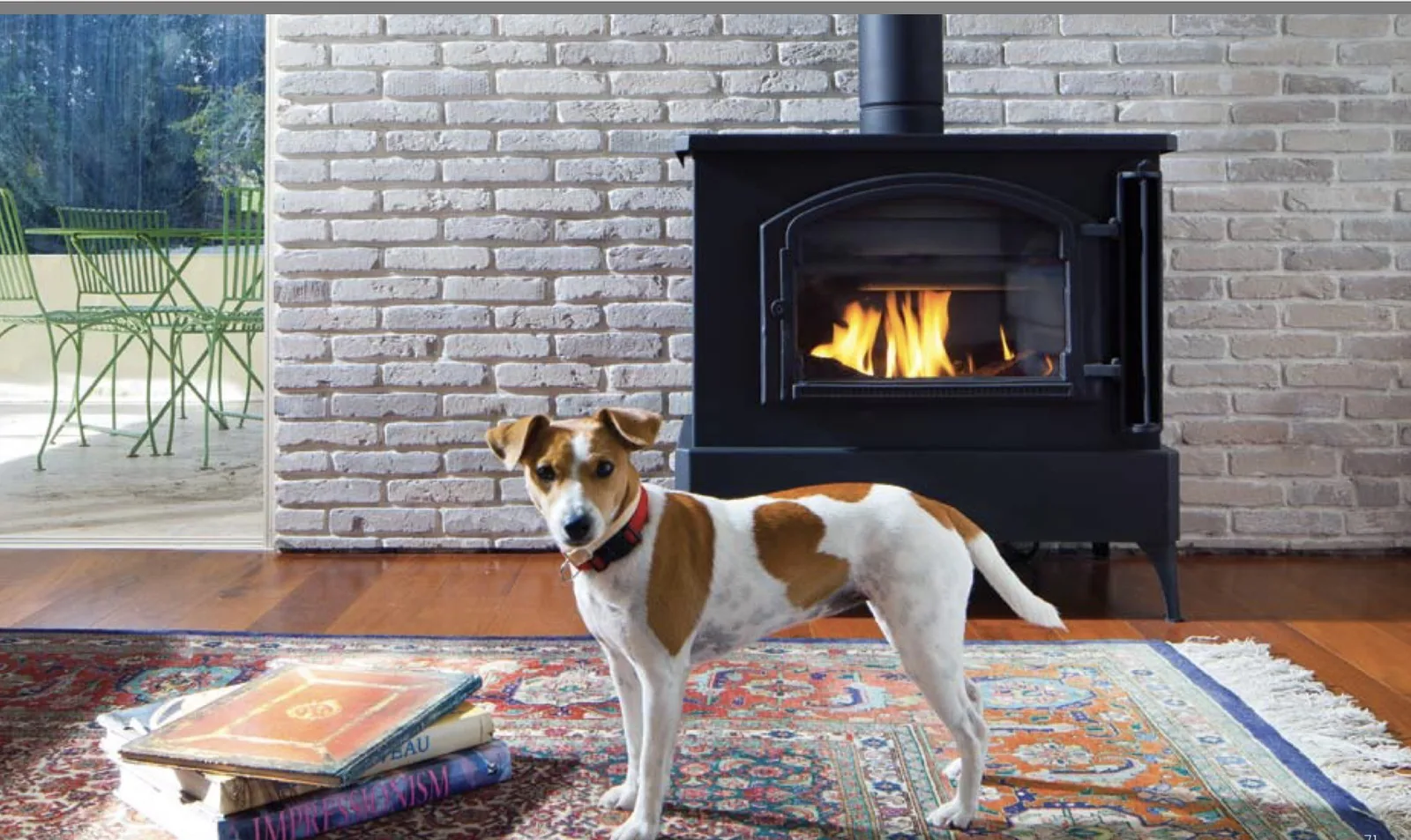 Chimenea De Gas Classic F80