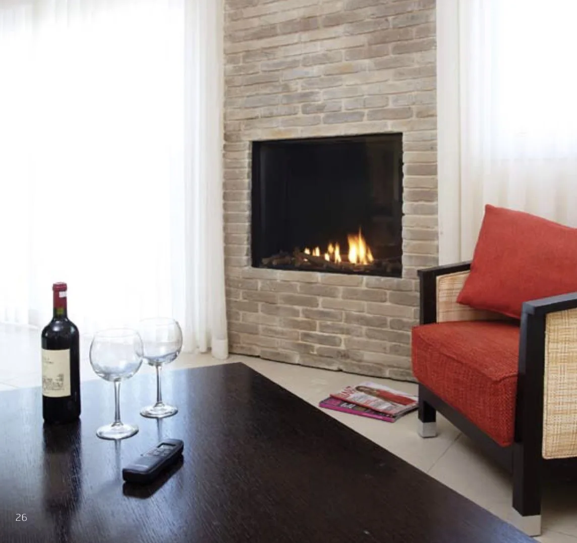 Chimenea De Gas Clear 110H