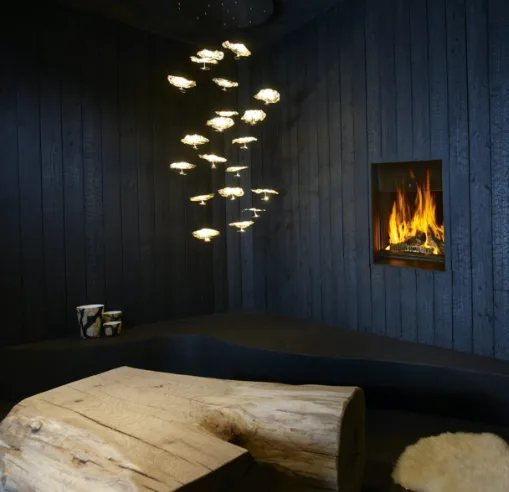 Phenix 65V NEO Chimenea de leña BODART & GONAY